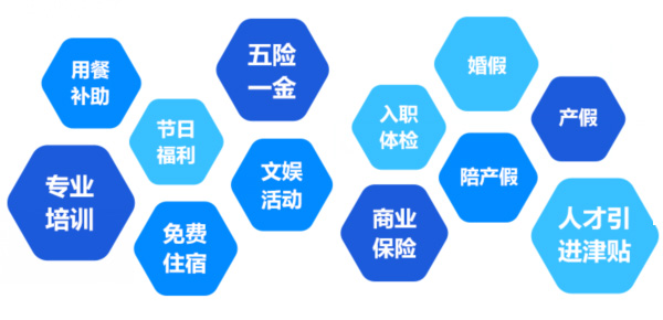 提供全面、系統(tǒng)、專業(yè)的培訓和廣闊的<br>職業(yè)發(fā)展空間和提升機會